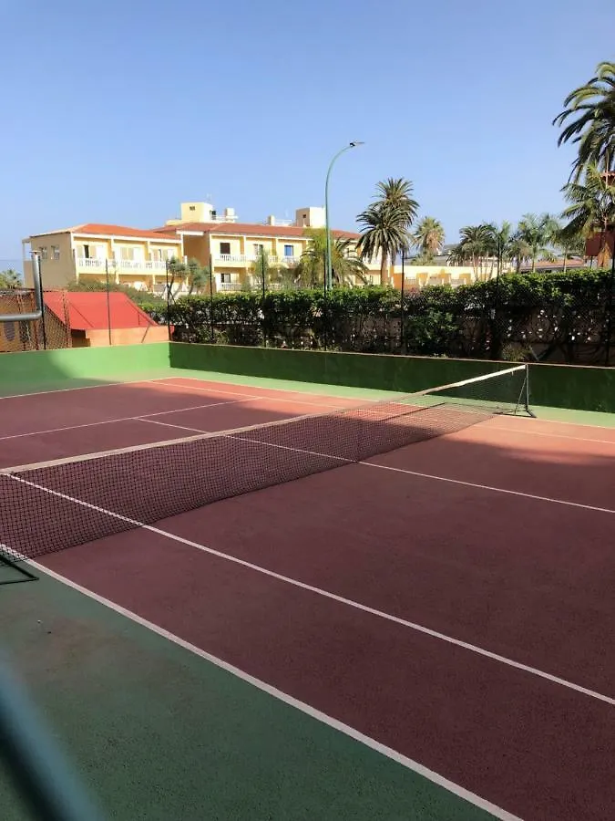 Appartement Magnificent Studio With A Terrace Overlooking The Sea! à Puerto de la Cruz